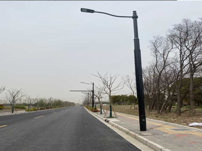 长洲区上海综合杆 太阳能路灯工程